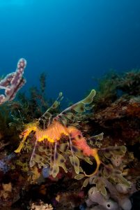 20091101 RBJ_0002 (Large)