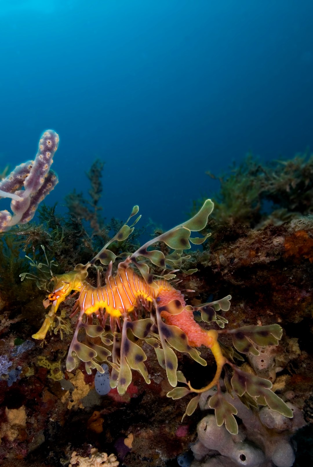 20091101 RBJ_0002 (Large)