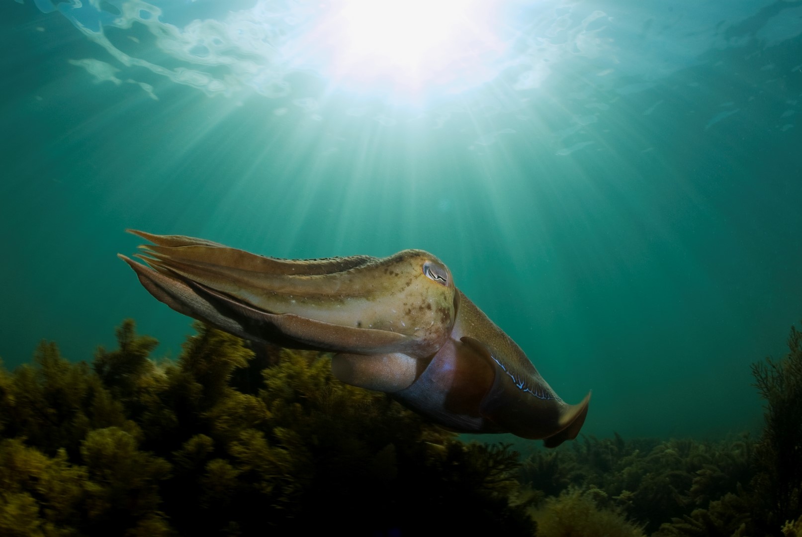 20100506 Stoney Point_0001 (Large)