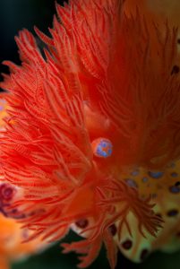 20100521 Port Hughes_0026 (Large)