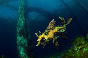 20120101 RBJ_0016 (Large)