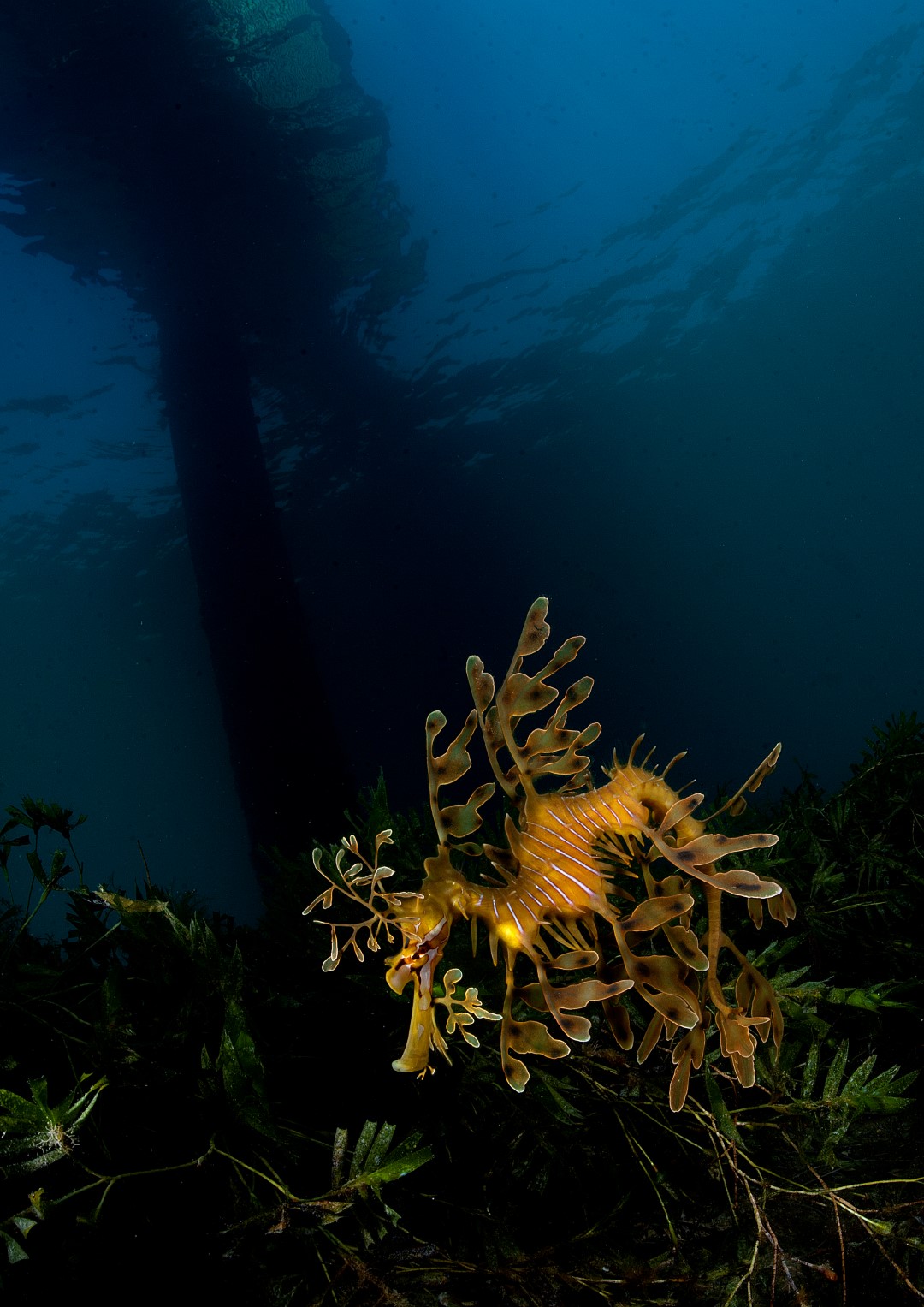 20120116 RBJ_0007 (Large)