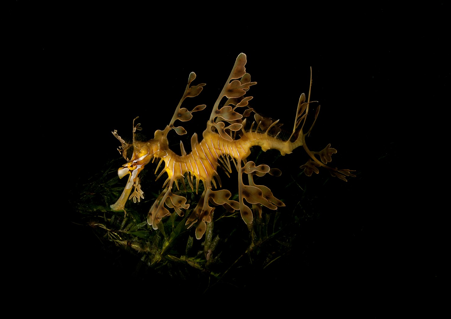 20120116 RBJ_0009 (Large)