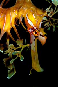 20120311 RBJ_0020 (Large)