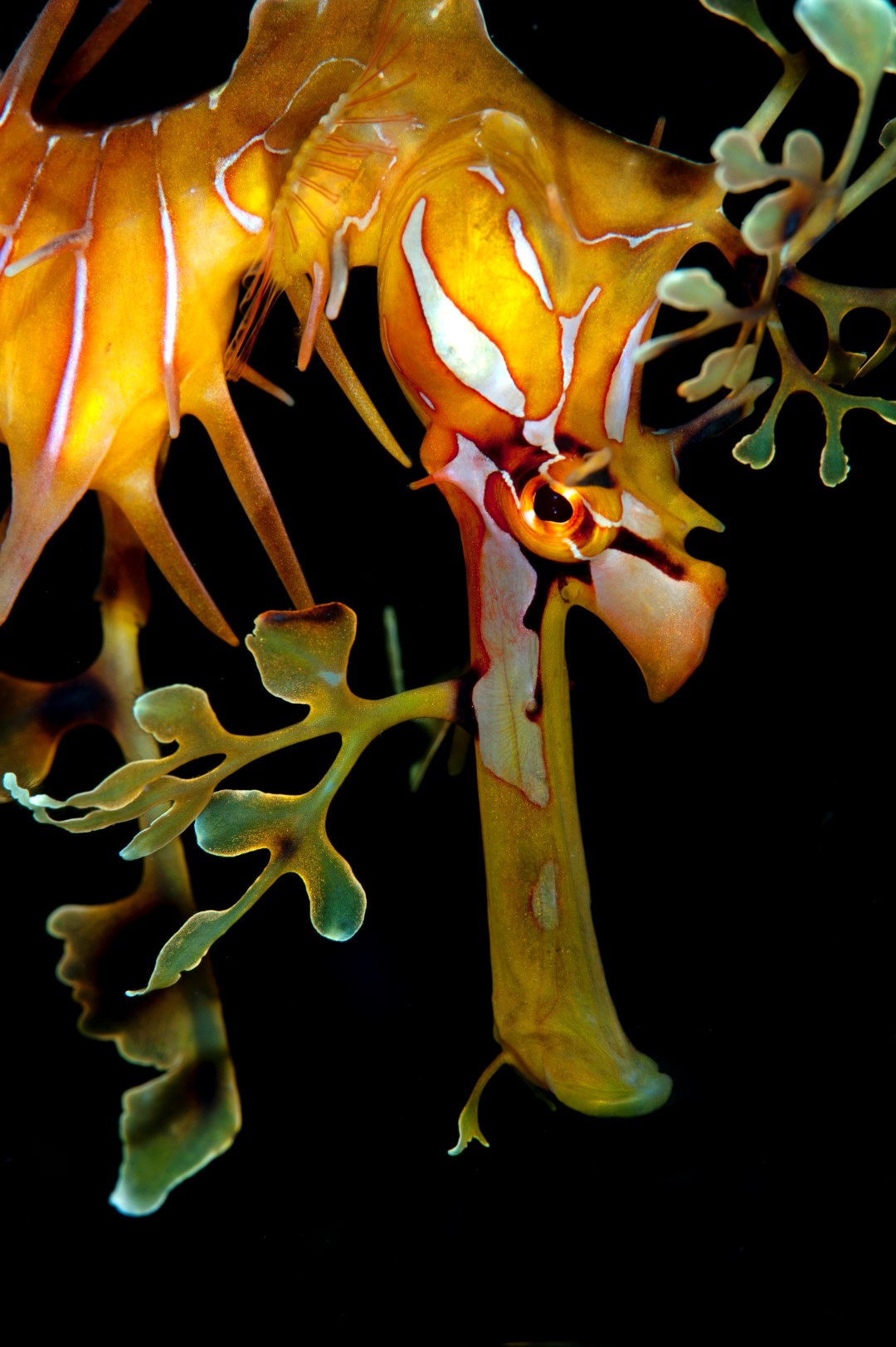 20120311 RBJ_0020 (Large)