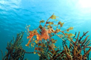 20130425 Edithburgh_0005 (Large)