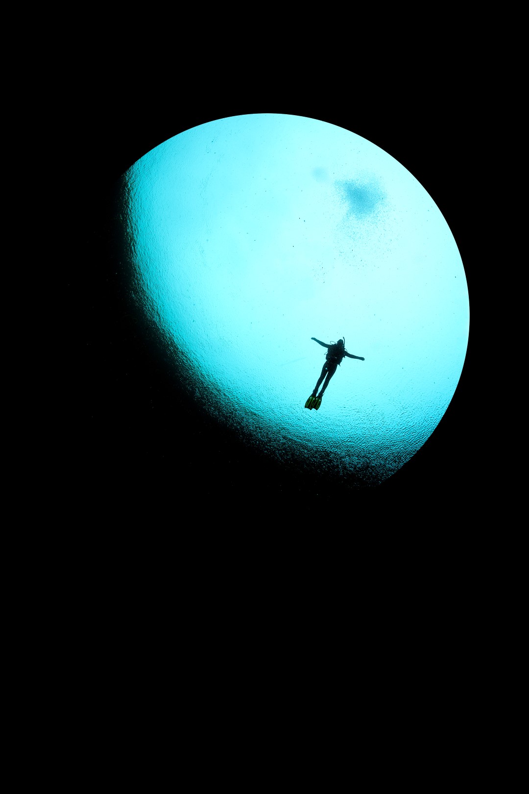 20131213 Ewens Ponds_0001 (Large)