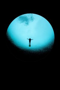 20131213 Ewens Ponds_0002 (Large)