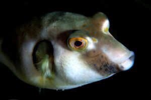 20140126 Port Hughes_0006 (Large)