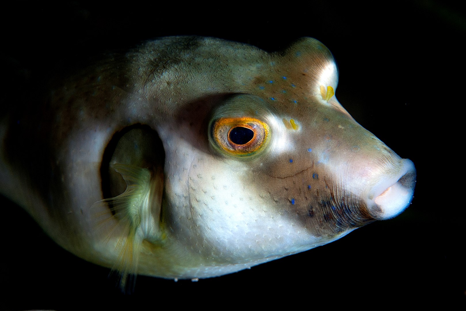 20140126 Port Hughes_0006 (Large)