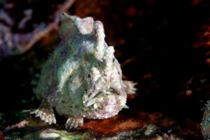 20140127 Port Hughes_0011 (Large)