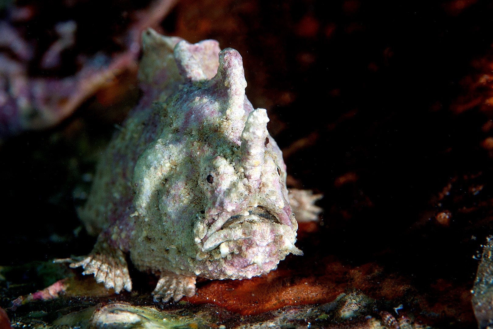 20140127 Port Hughes_0011 (Large)