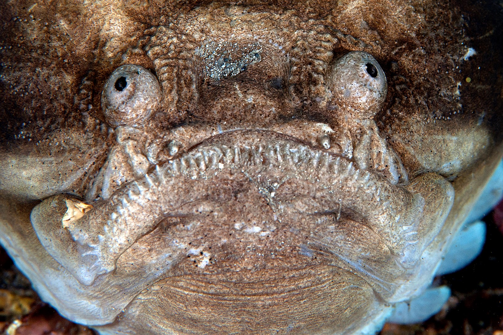 20140127 Port Hughes_0013 (Large)