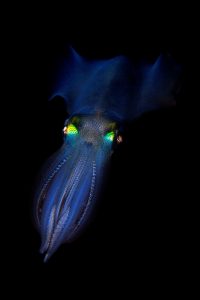 20140309 Port Hughes_0010 (Large)