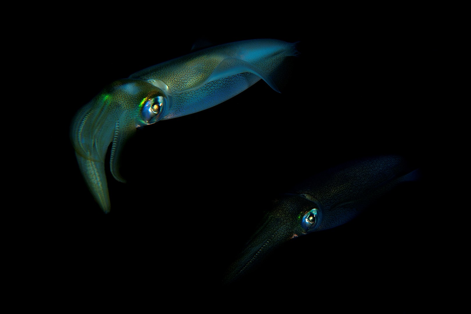 20140309 Port Hughes_0012 (Large)