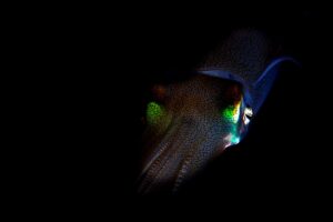 20140309 Port Hughes_0013 (Large)