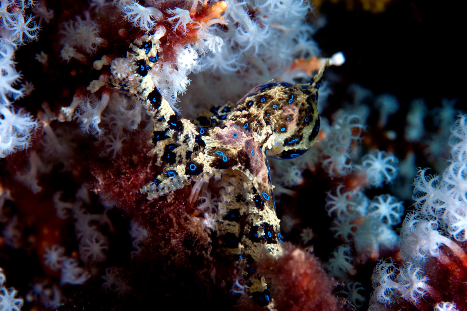 20140309 Port Hughes_0017 (Large)