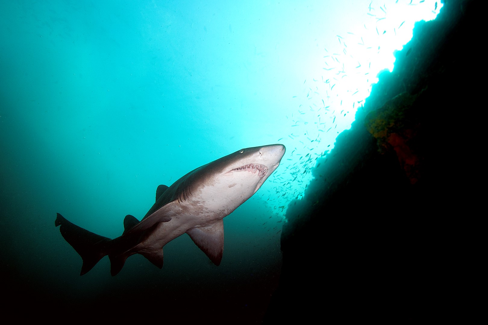 20140421 North West Solitary_0004 (Large)