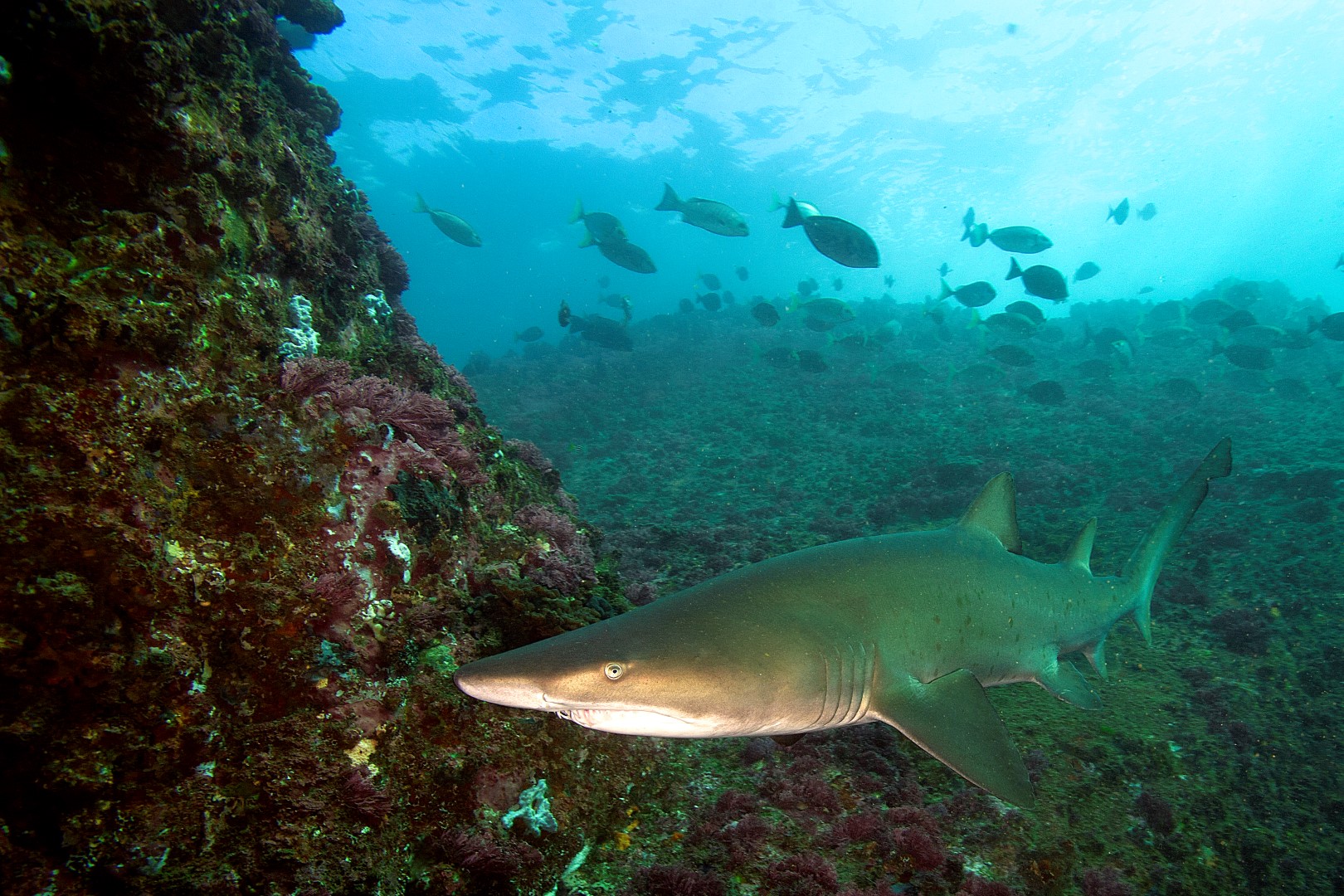 20140421 North West Solitary_0006 (Large)