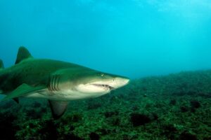 20140421 North West Solitary_0007 (Large)