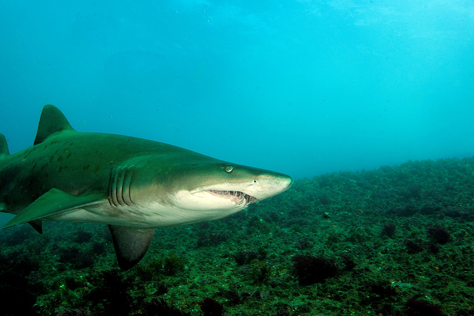 20140421 North West Solitary_0007 (Large)