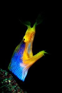 20140916 Magic Crack_0003 (Large)