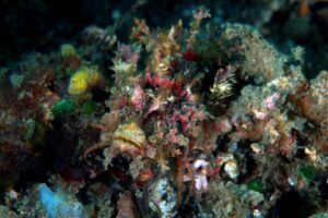 20140917 Aer Prang_0004 (Large)