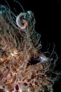 20140917 Aer Prang_0022 (Large)