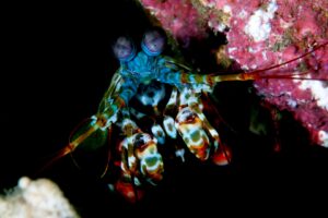 20140917 Nudi Falls_0011 (Large)