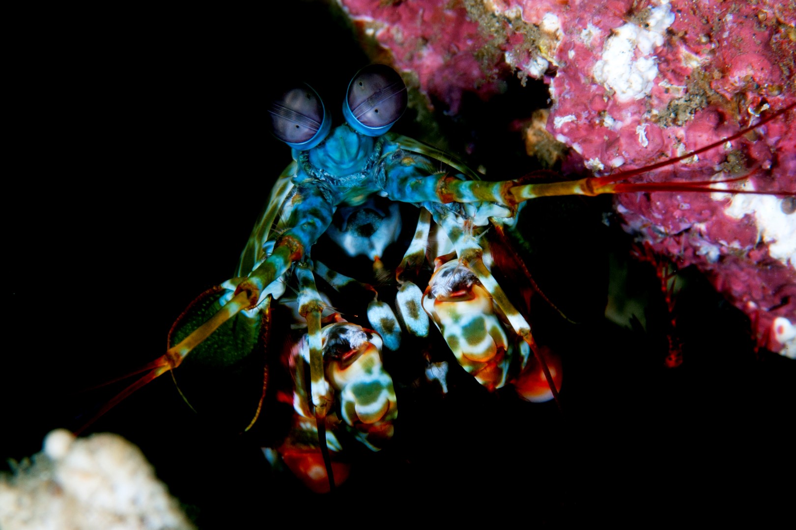 20140917 Nudi Falls_0011 (Large)