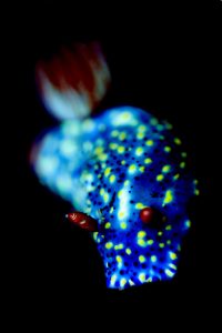 20140919 TK3_0005 (Large)