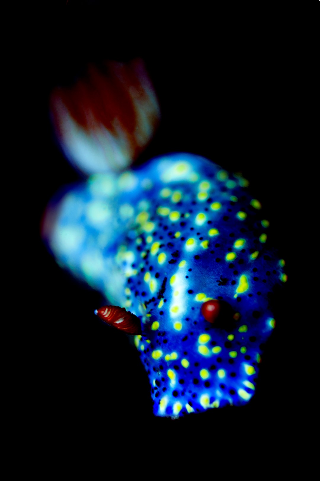 20140919 TK3_0005 (Large)