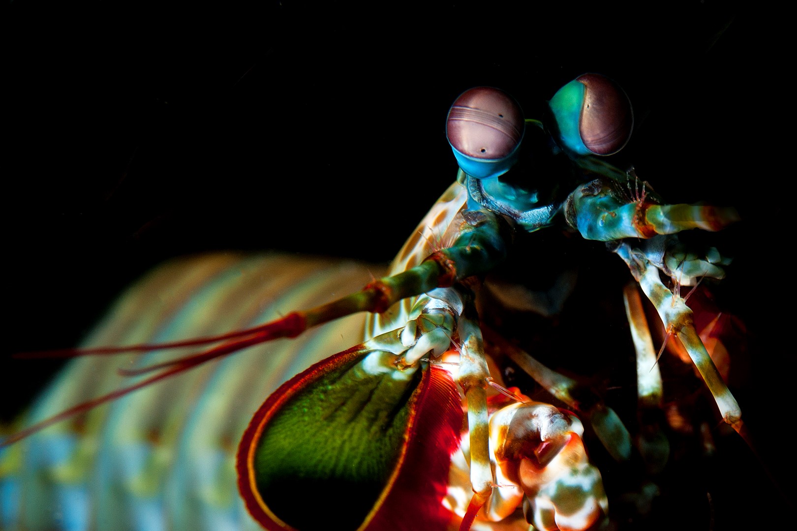 20140920 Jahir 1_0006 (Large)