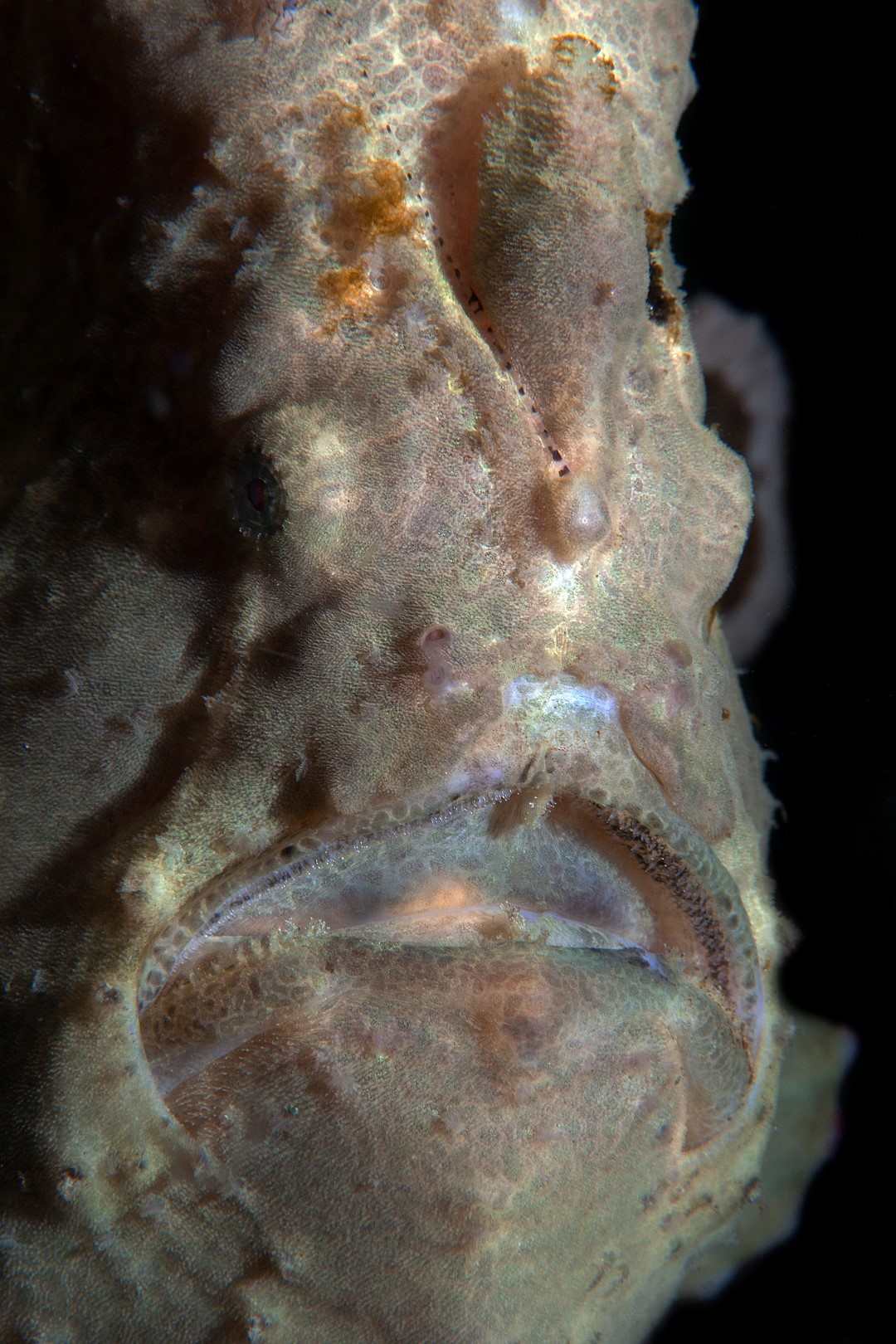 20140920 Nudi Falls_0014 (Large)