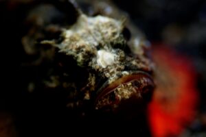 20140920 Retak Larry_0010 (Large)