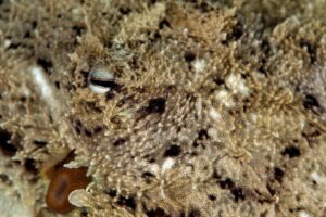 20150222_EDithburgh 0010 (Large)