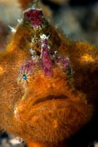 20150222_EDithburgh 0012 (Large)