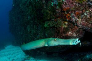 20150310_North Solitary 0004 (Large)