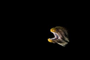 20150310_North Solitary 0020 (Large)