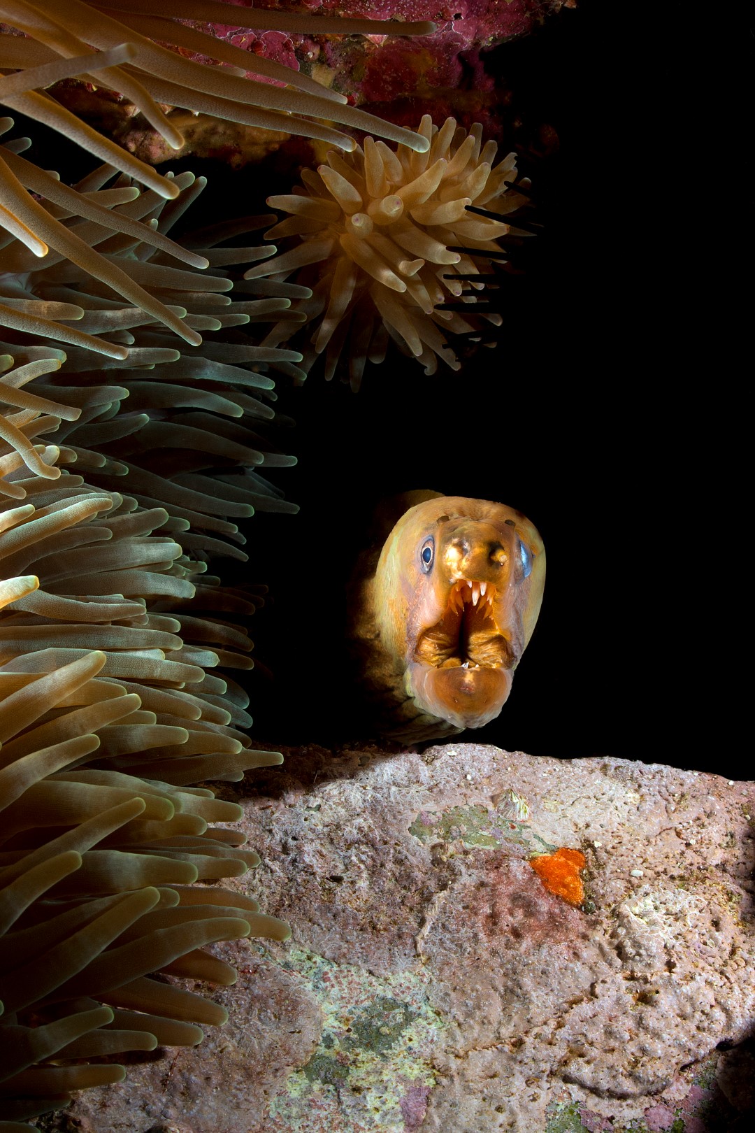 20150311_North Solitary 0003 (Large)