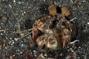 20150630_Aer Prang_0005 (Large)