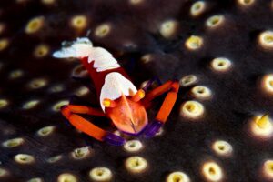 20150630_Aer Prang_0014 (Large)