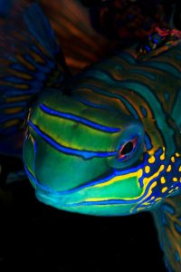 20150630_Bianca_0003 (Large)