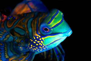 20150630_Bianca_0006 (Large)