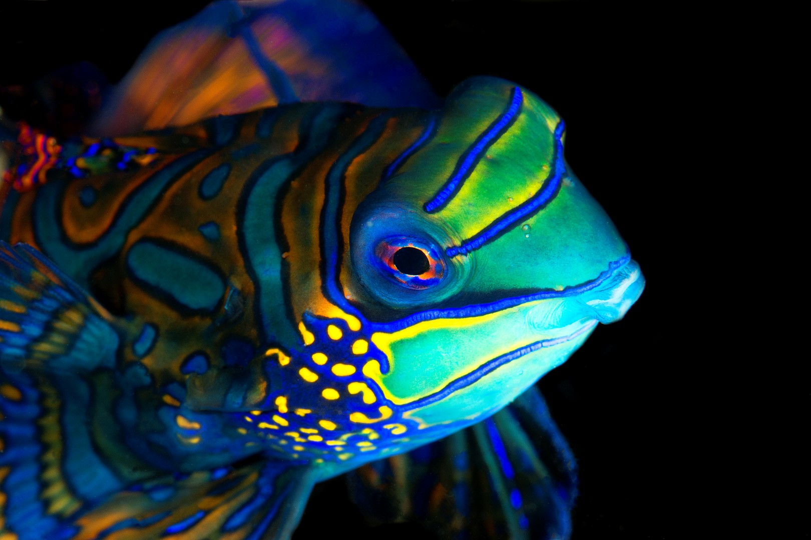 20150630_Bianca_0006 (Large)