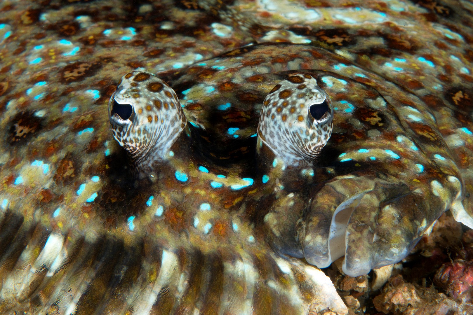 20150630_Nudi Falls_0011 (Large)