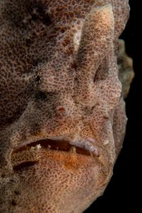 20150630_Nudi Falls_0015 (Large)