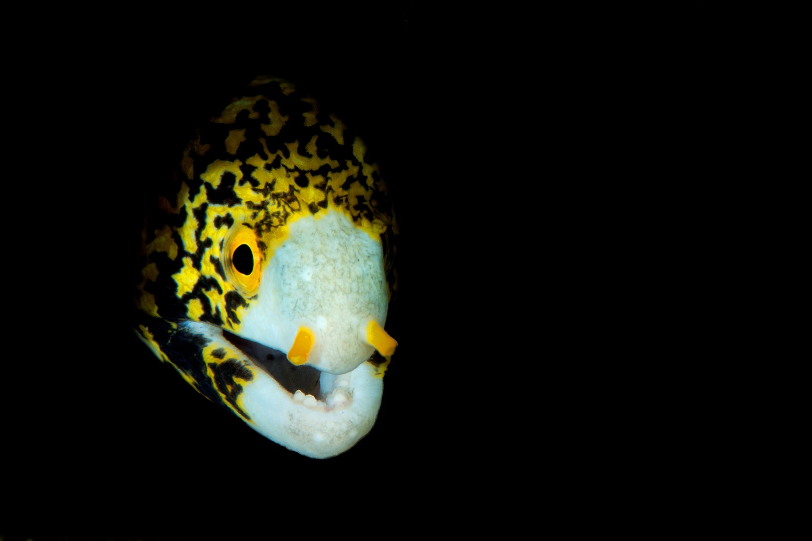 20150701_Makawidey_0016 (Large)