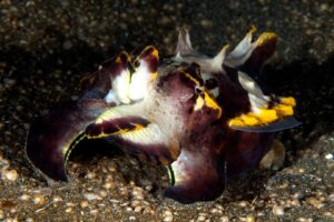 20150702_Aer Bajo 3_0014 (Large)