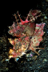 20150702_Jahir 1_0012 (Large)